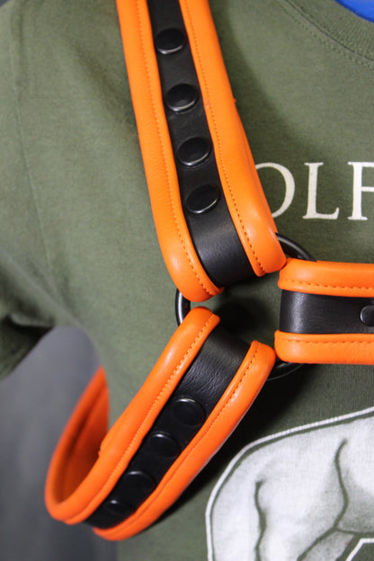 Black and Orange Bulldog Harness and Jock Combo! - view 12