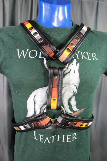 Bear Pride Extended X Harness - view 2