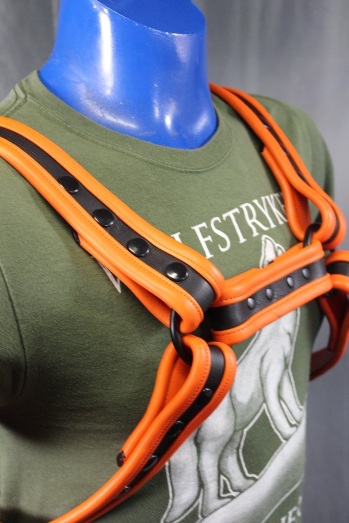 Two-Tone Bulldog Harness - view 11