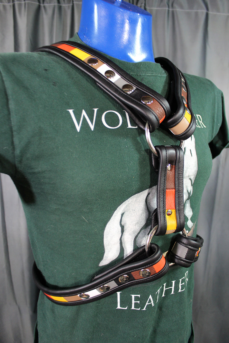 Bear Pride Extended X Harness - front view