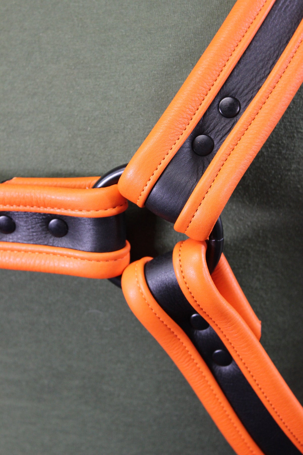 Black and Orange Bulldog Harness - Our Softest Leather! - view 18
