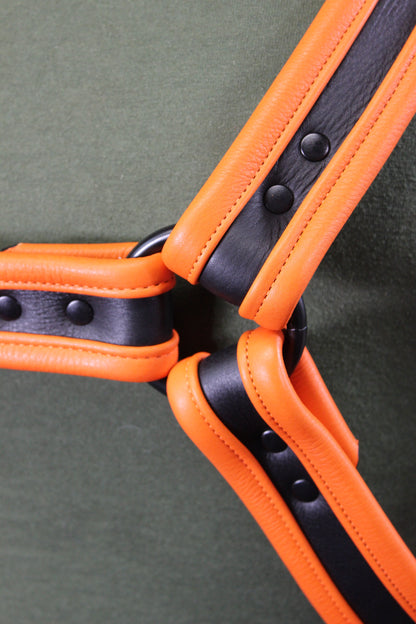Black and Orange Bulldog Harness and Jock Combo! - view 18