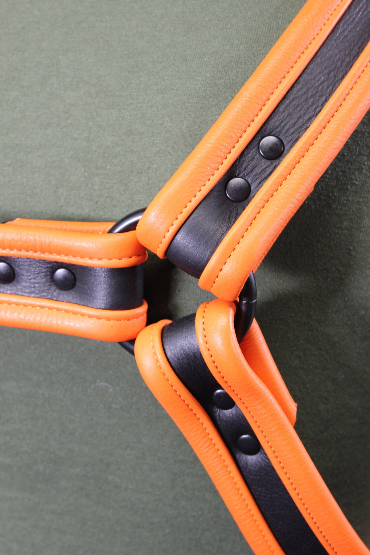 Black and Orange Bulldog Harness and Jock Combo! - view 19