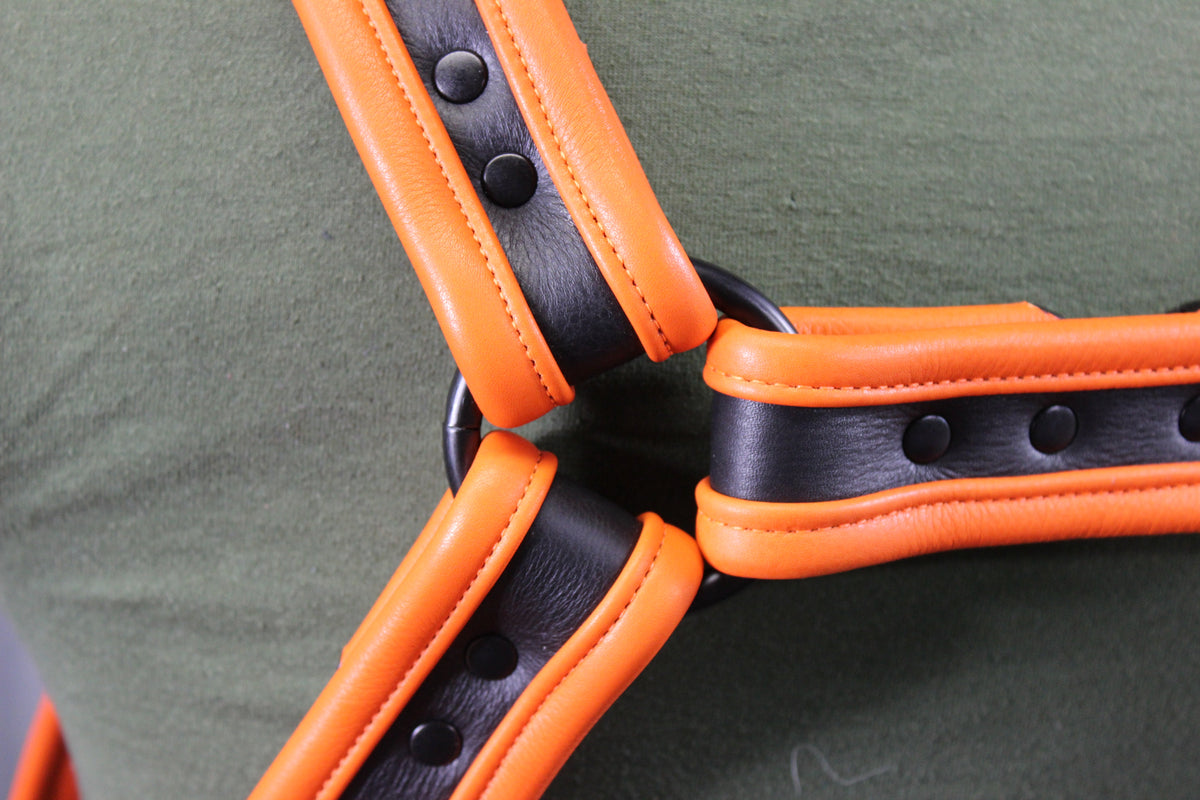 Black and Orange Bulldog Harness and Jock Combo! - view 20