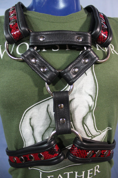 Triangle Front Extended X-Harness - Black Edging with Red & Black Snakeskin - view 2