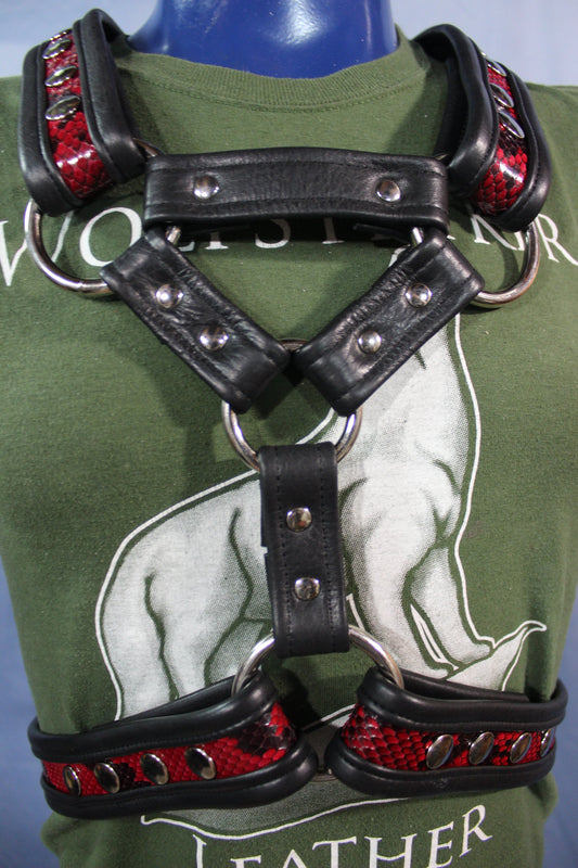 Triangle Front Extended X-Harness - Black Edging with Red & Black Snakeskin - view 2