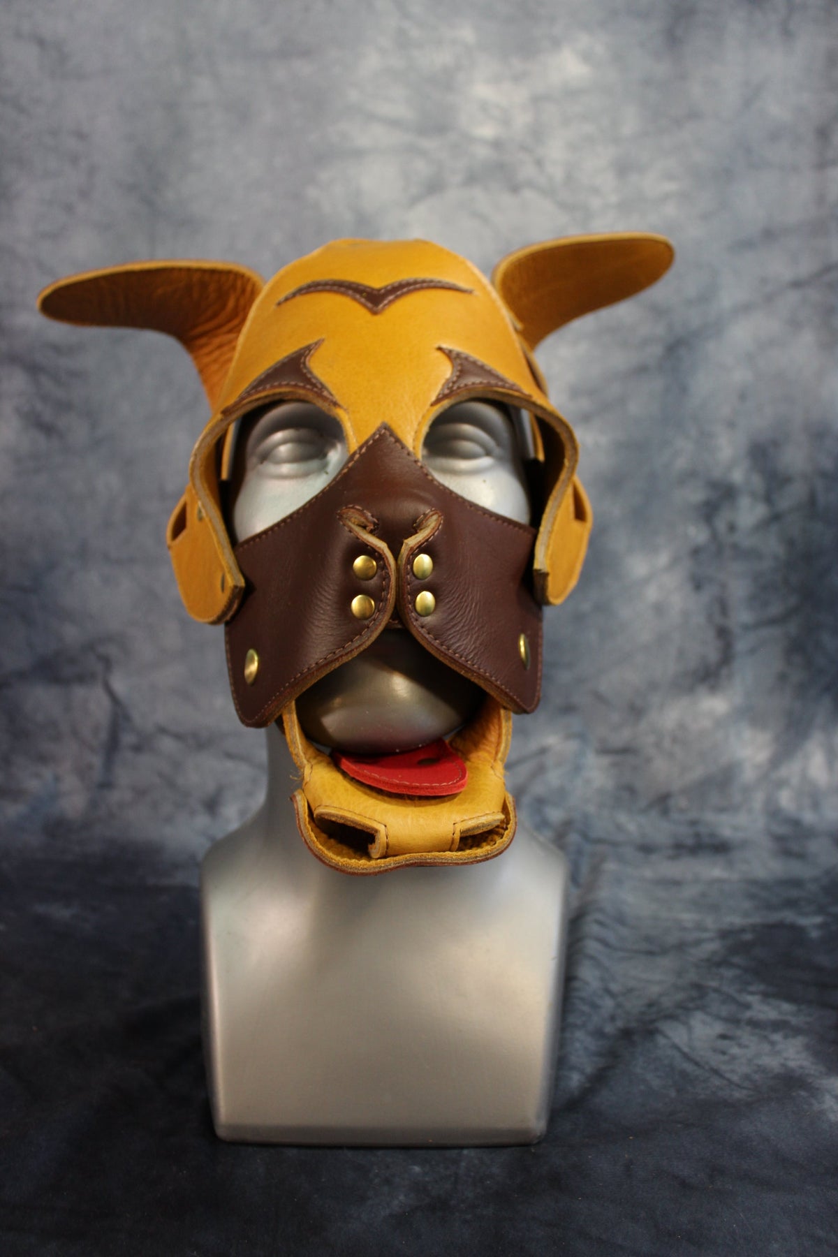 Pug Style Pup Hood - view 14