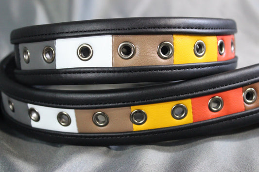 Bear Pride Flag Belt - front view