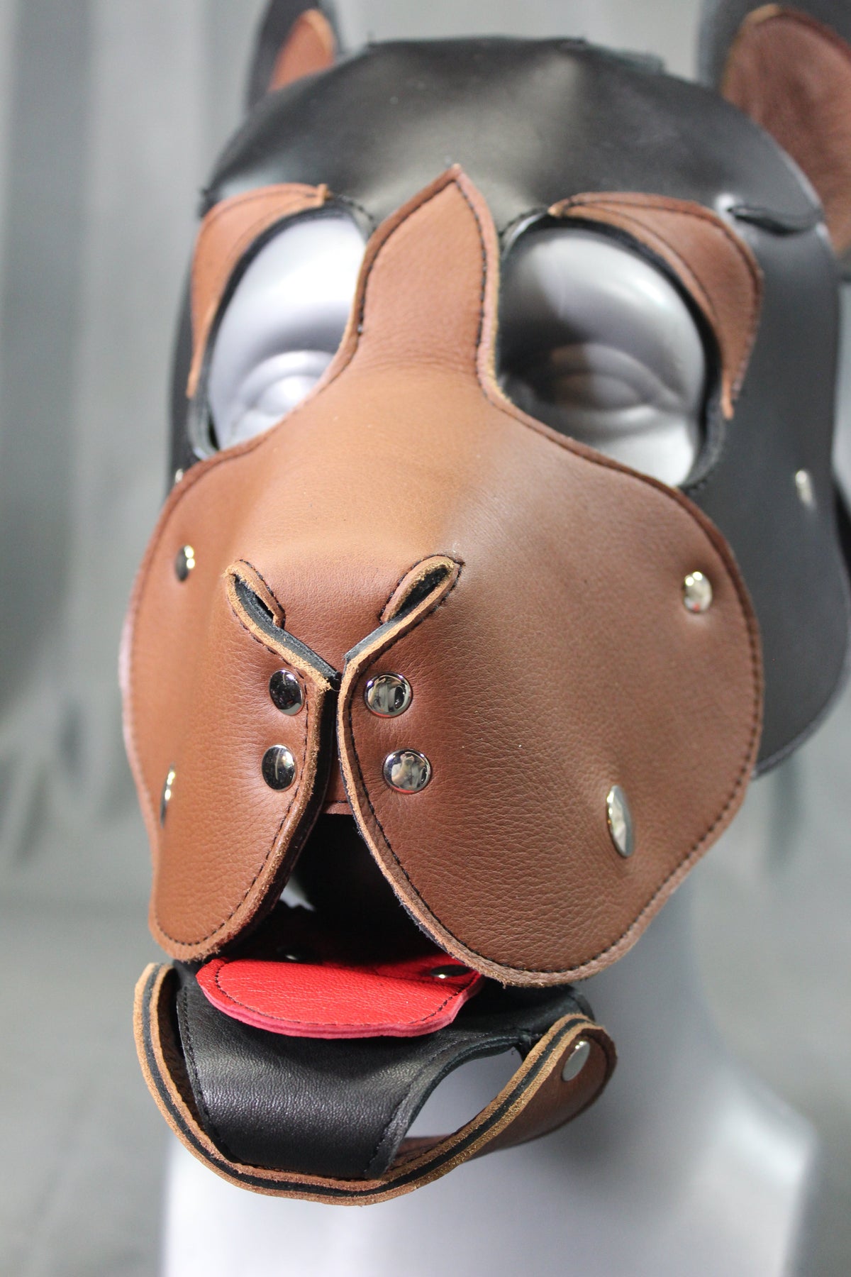 Bear Hood - view 4