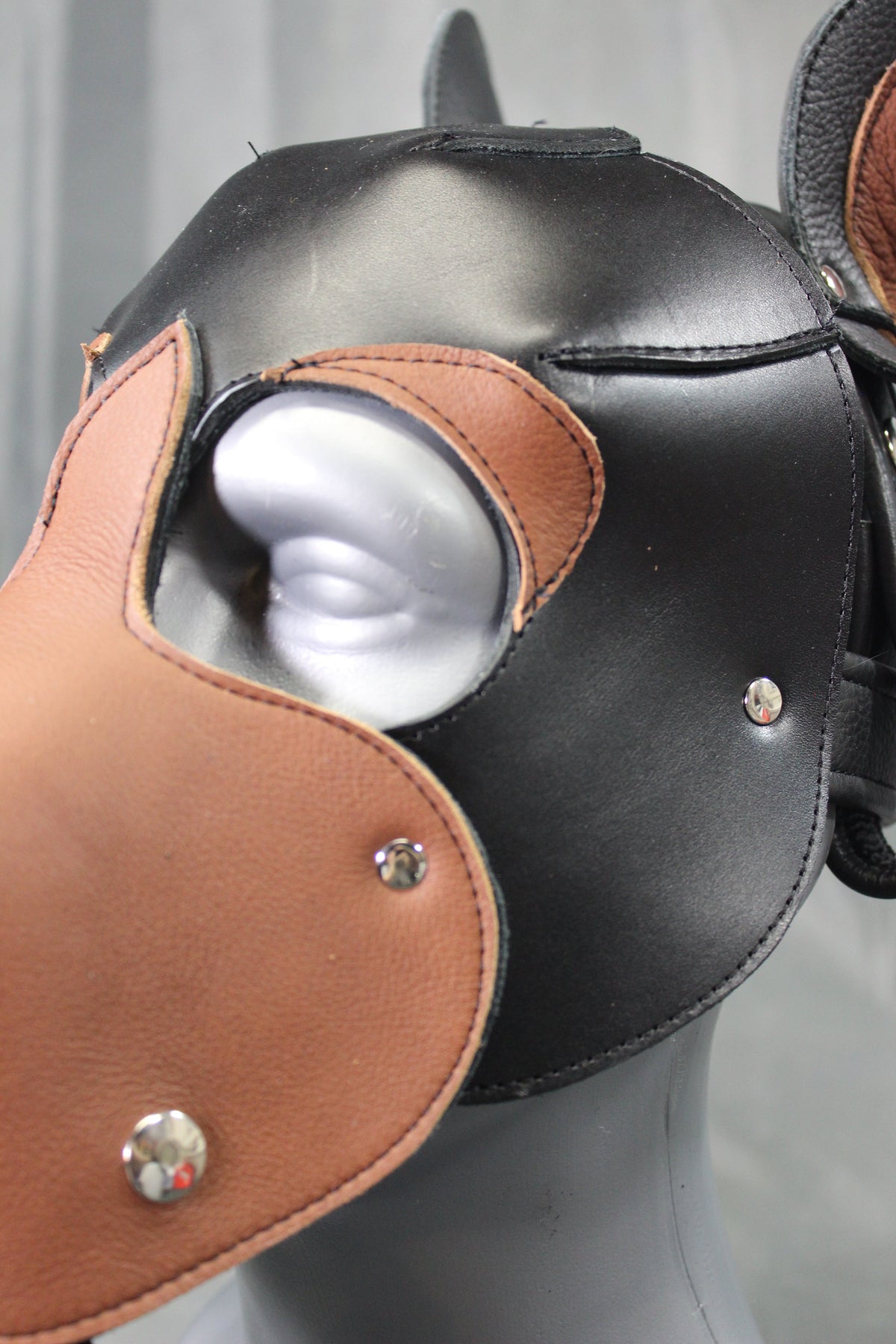 Bear Hood - view 7