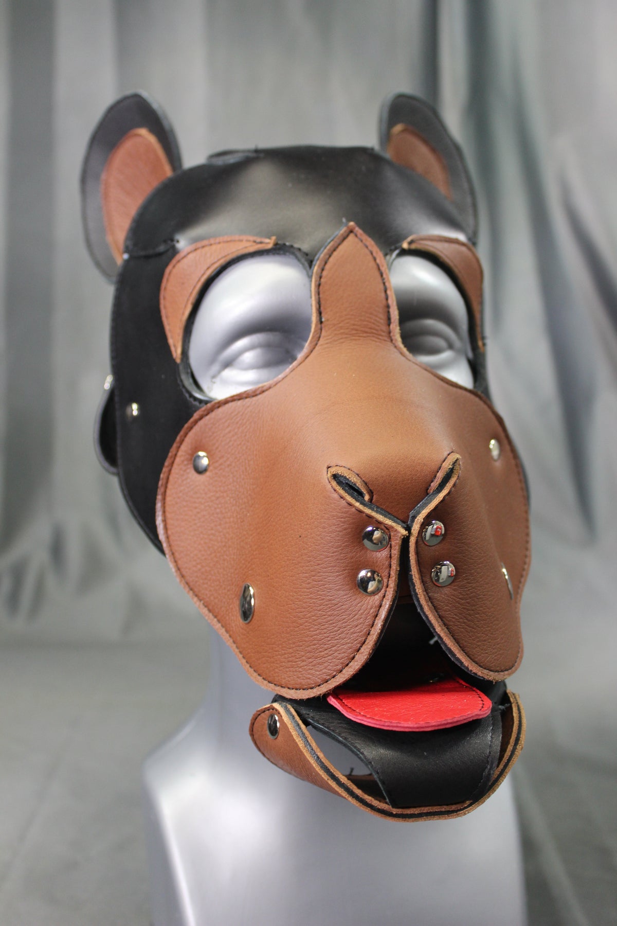 Bear Hood - view 2