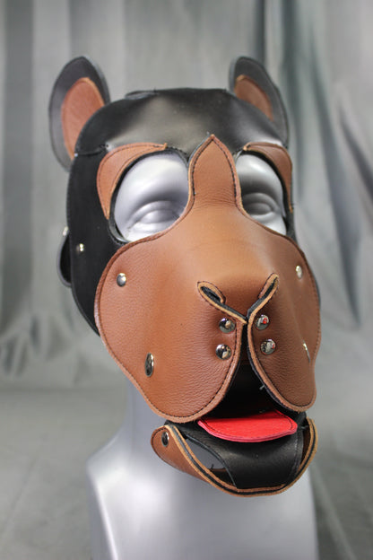 Bear Hood - view 2