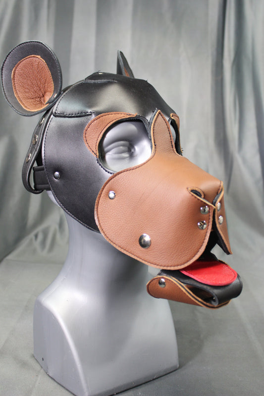 Bear Hood - front view