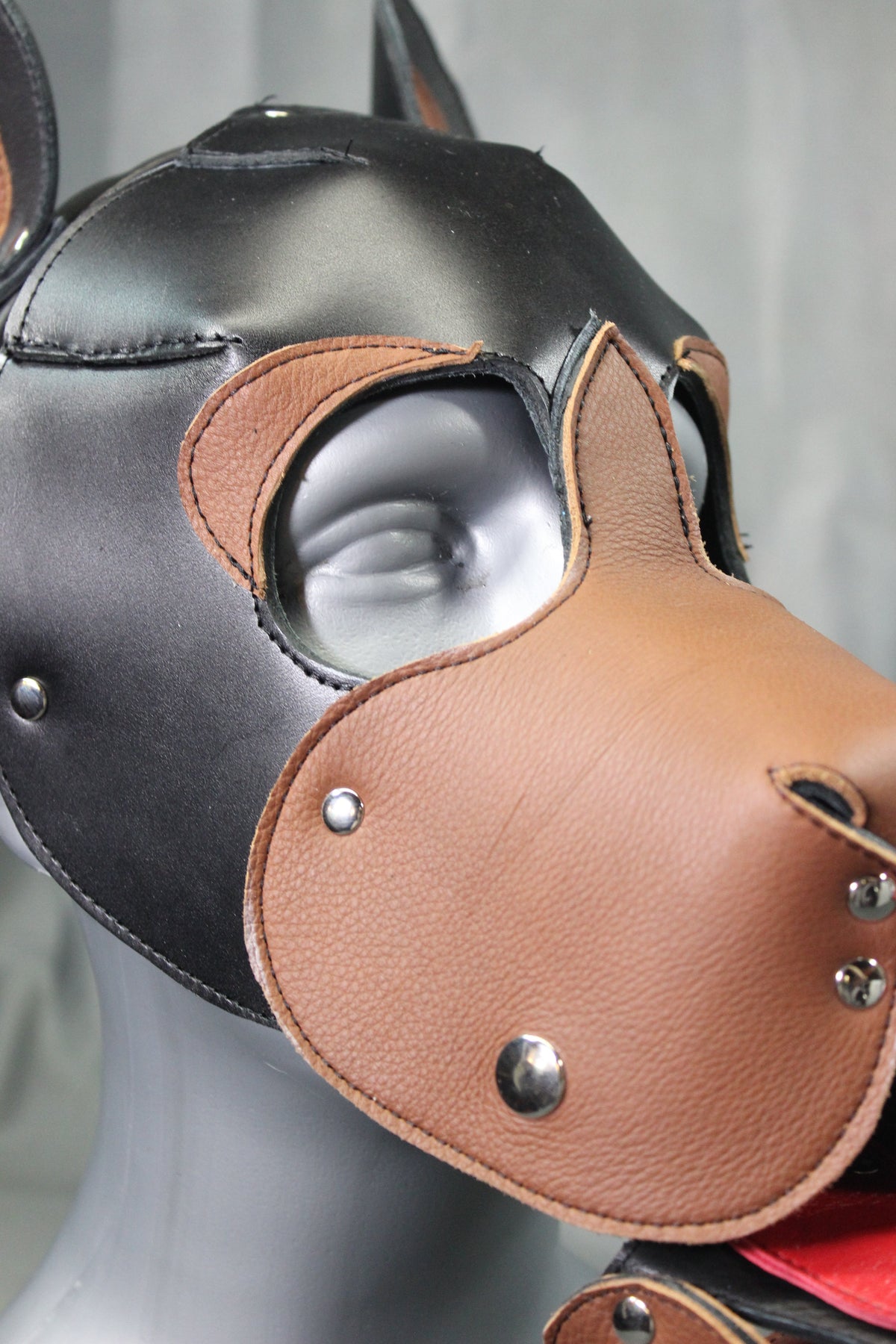 Bear Hood - view 6