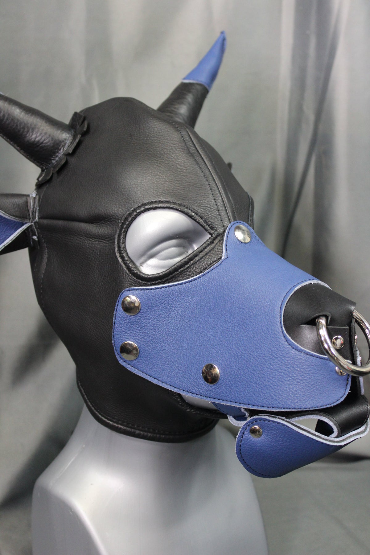 Bull Hoods in COLOR! - view 14