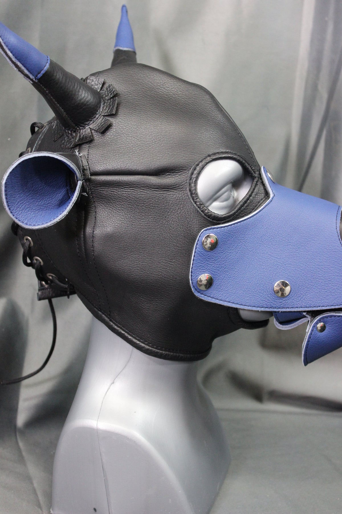 Bull Hoods in COLOR! - view 22