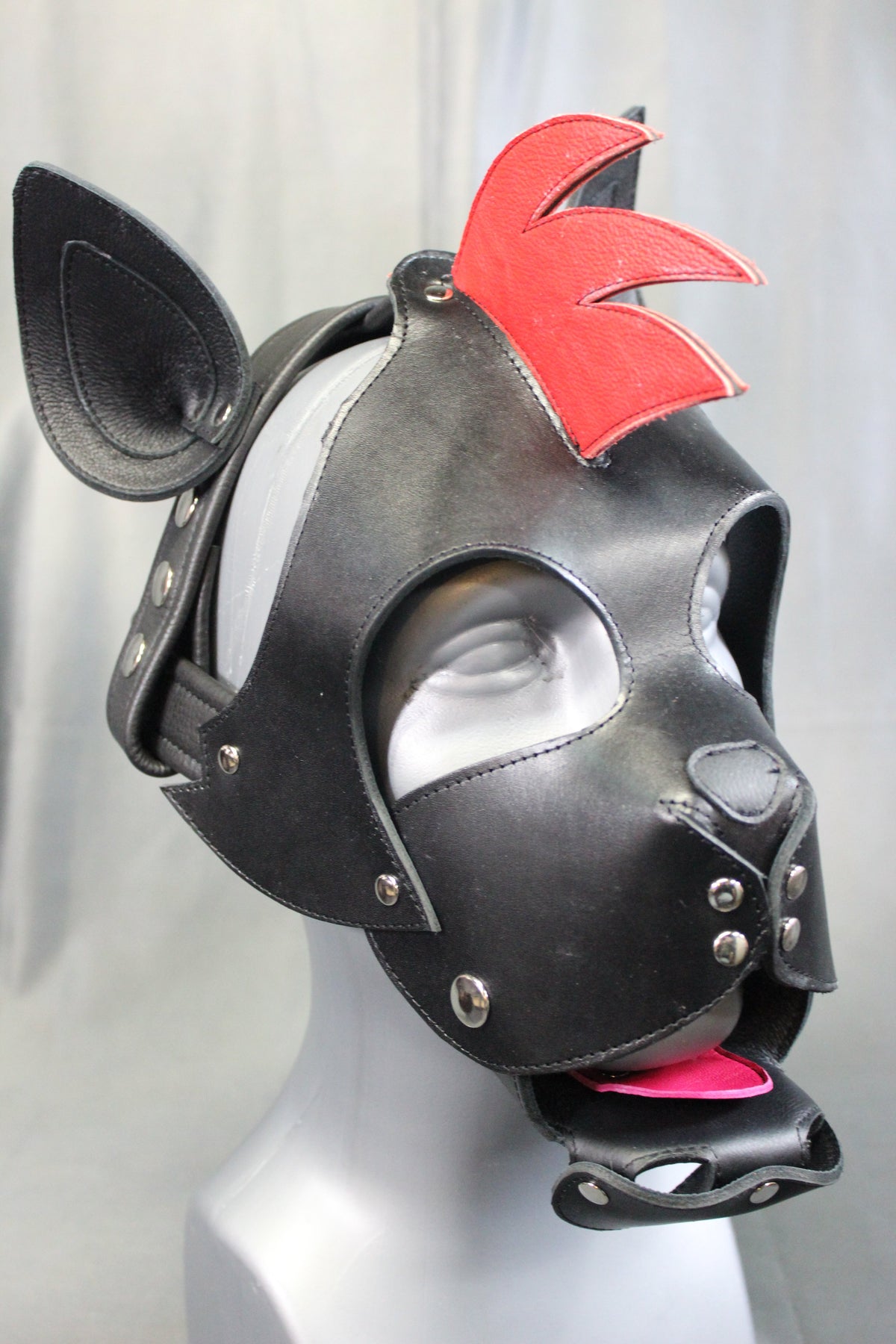 Mohawk Pup - front view