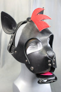 Mohawk Pup - front view