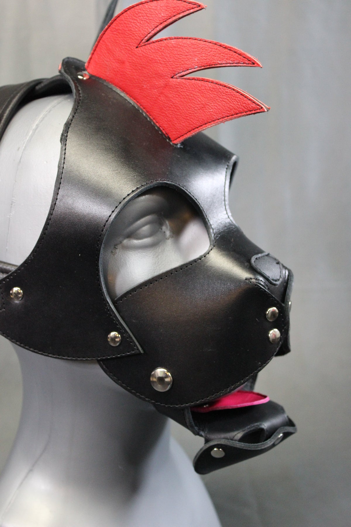 Mohawk Pup - view 2