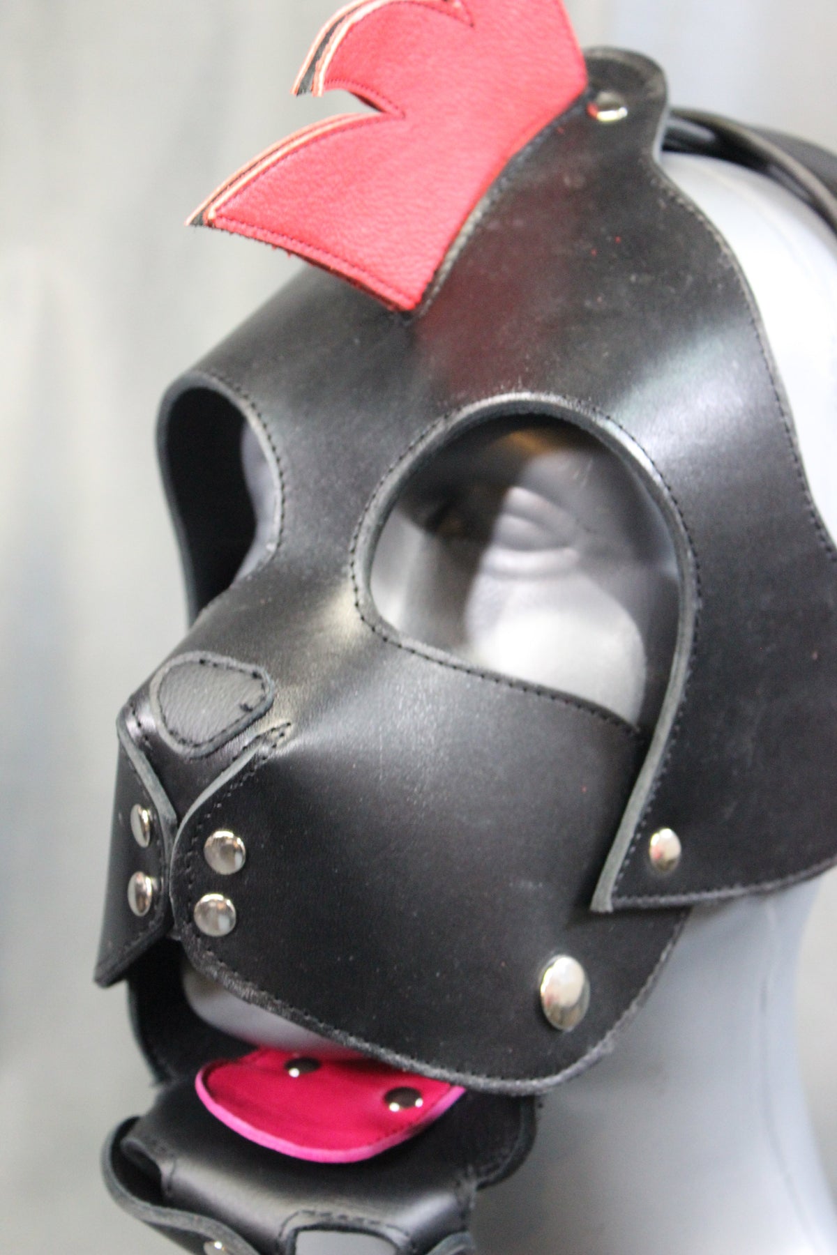 Mohawk Pup - view 13
