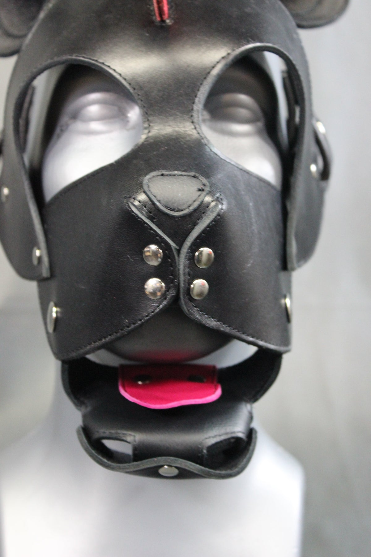 Mohawk Pup - view 15