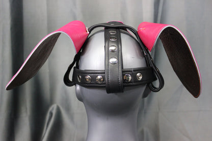 Pretty in Pink Beagle - view 16
