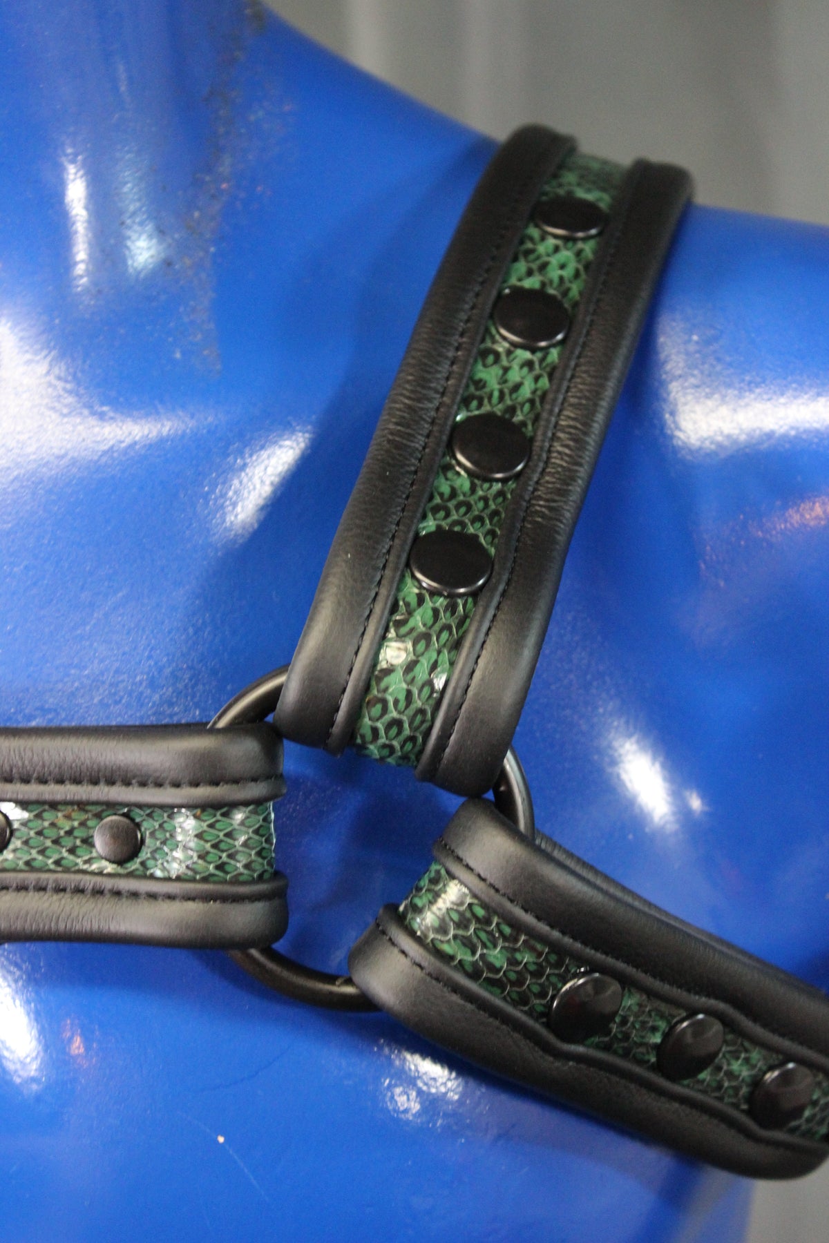 Snakeskin Bulldog Harness - view 3