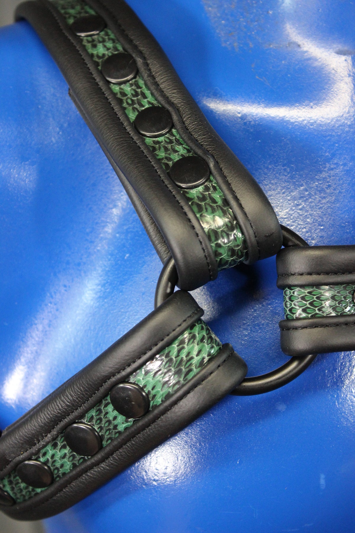 Snakeskin Bulldog Harness - view 4