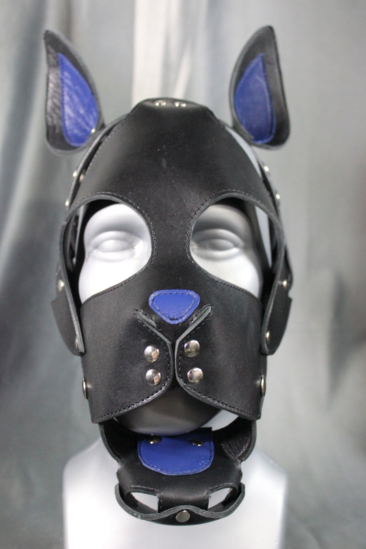 Kitten Hood - view 22