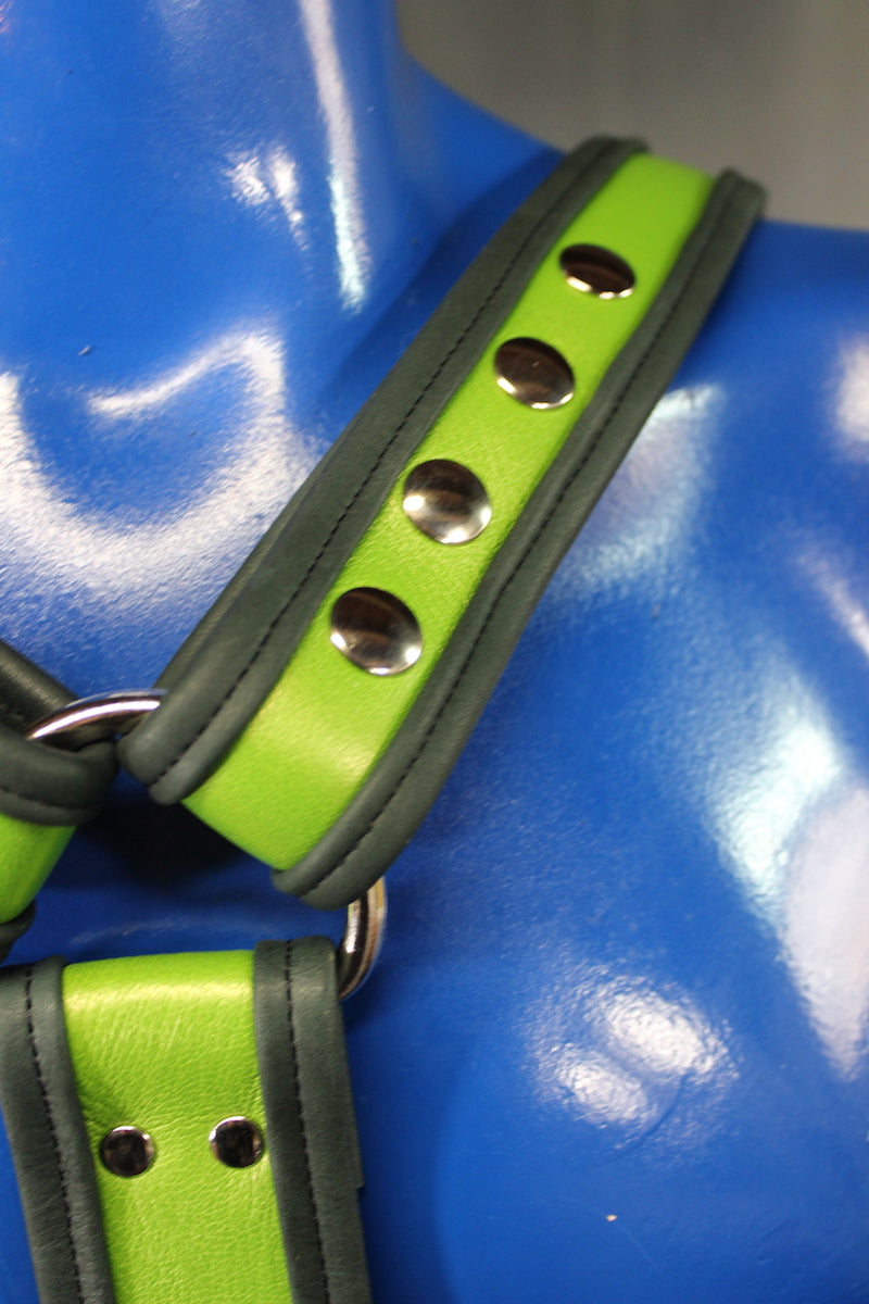 Two Tone Extended X-Harness (Wide Center Variant) - view 3