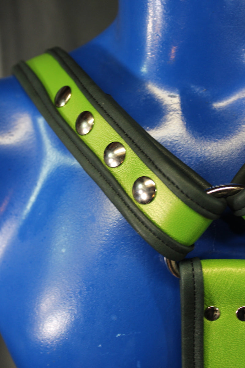 Two Tone Extended X-Harness (Wide Center Variant) - view 4