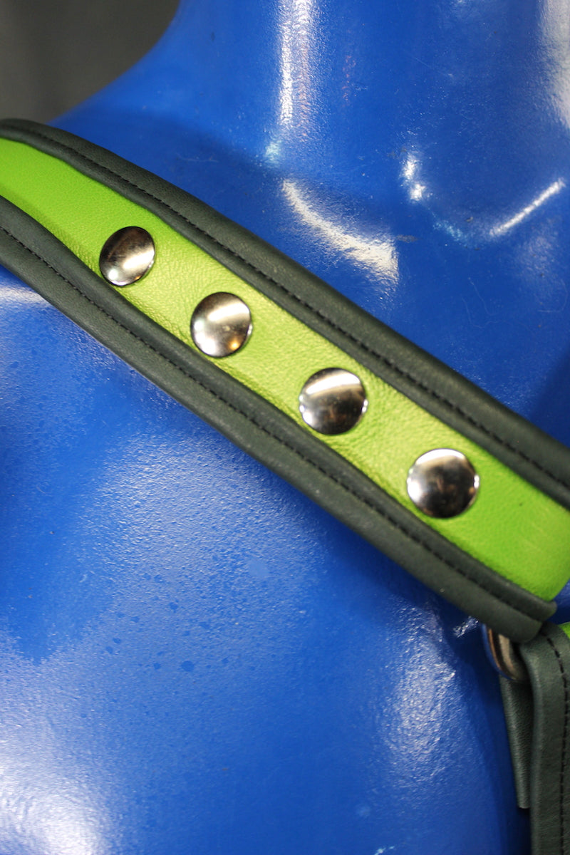 Two Tone Extended X-Harness (Wide Center Variant) - view 5