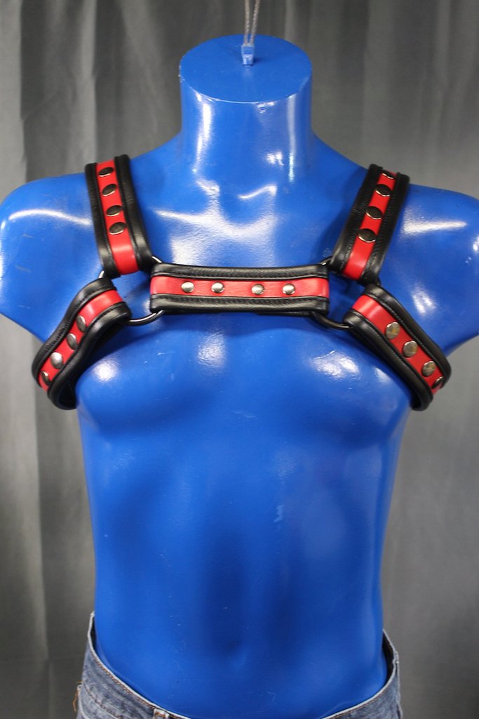 Two-Tone Bulldog Harness - view 5