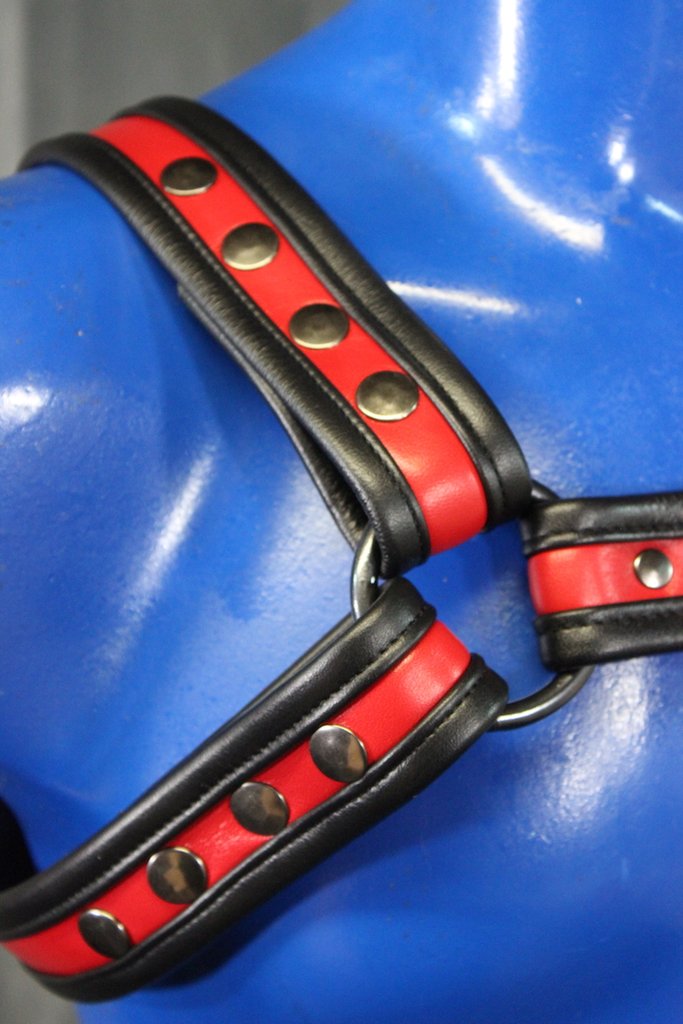 Two-Tone Bulldog Harness - view 14