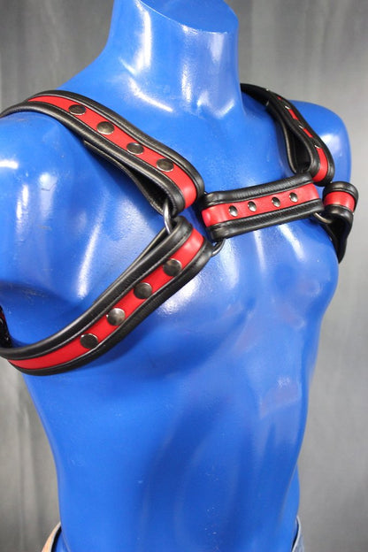 Two-Tone Bulldog Harness - view 15