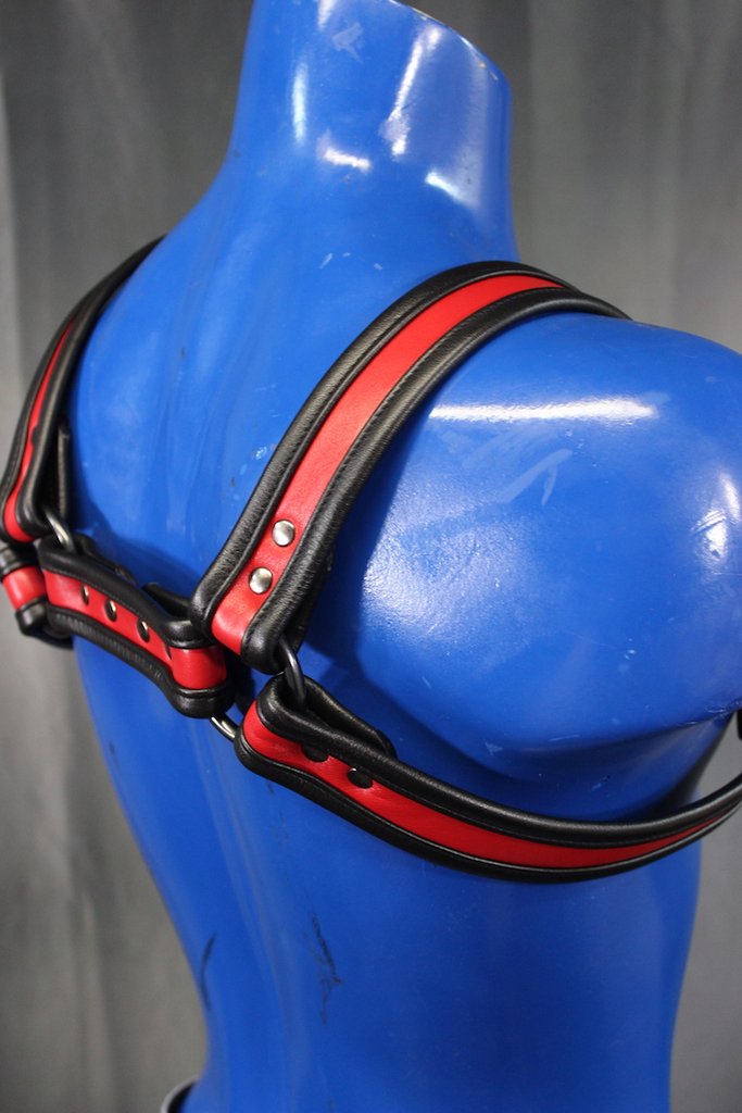 Two-Tone Bulldog Harness - view 16