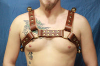 Jingle Bell Harness - front view