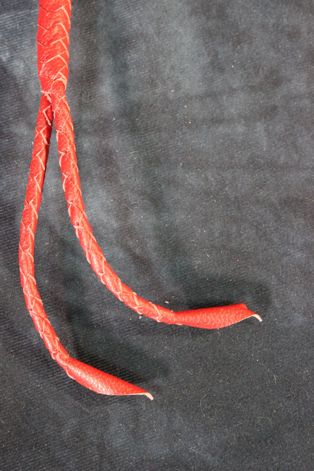 Snakebite Whip by The Otter and The Fox - front view