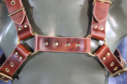 Mottled Latigo Bulldog Harness with Buckles - view 23