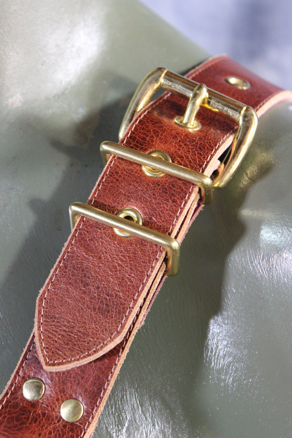 Mottled Latigo Bulldog Harness with Buckles - front view
