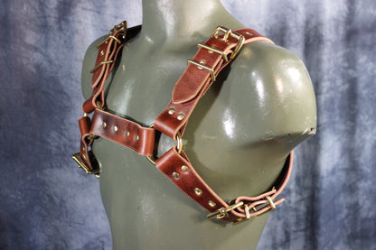 Mottled Latigo Bulldog Harness with Buckles - view 4