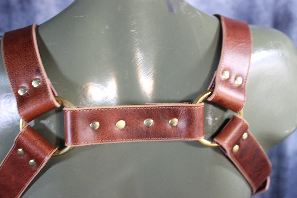 Mottled Latigo Bulldog Harness with Buckles - view 5