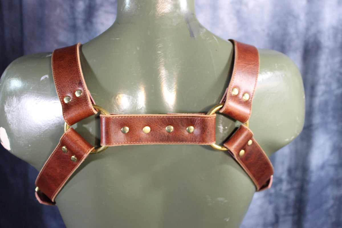 Mottled Latigo Bulldog Harness with Buckles - view 6