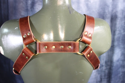 Mottled Latigo Bulldog Harness with Buckles - view 6