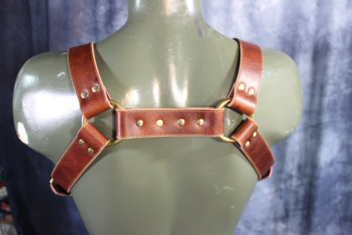Mottled Latigo Bulldog Harness with Buckles - view 7