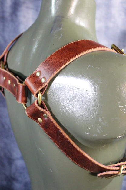 Mottled Latigo Bulldog Harness with Buckles - view 11