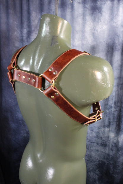 Mottled Latigo Bulldog Harness with Buckles - view 12