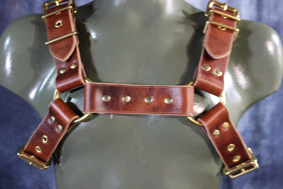 Mottled Latigo Bulldog Harness with Buckles - view 17