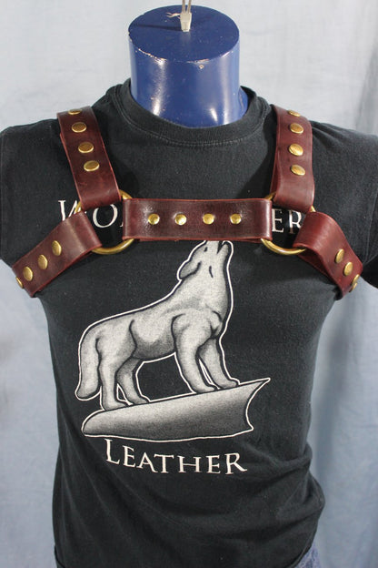 Classic Latigo Bulldog Harness with Snaps - view 5