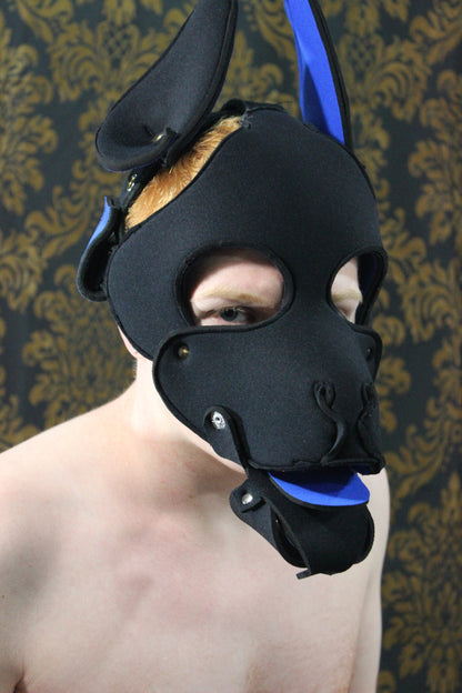 Pupskinz Two Toned Reversible Neoprene Husky Hood - view 22